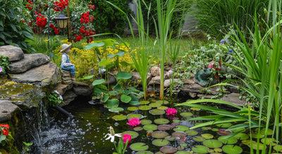 Build Yourself a Pond: Here’s How